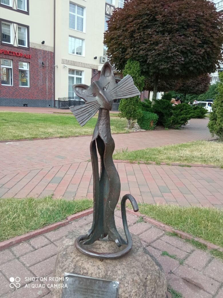 Кошка Мурка