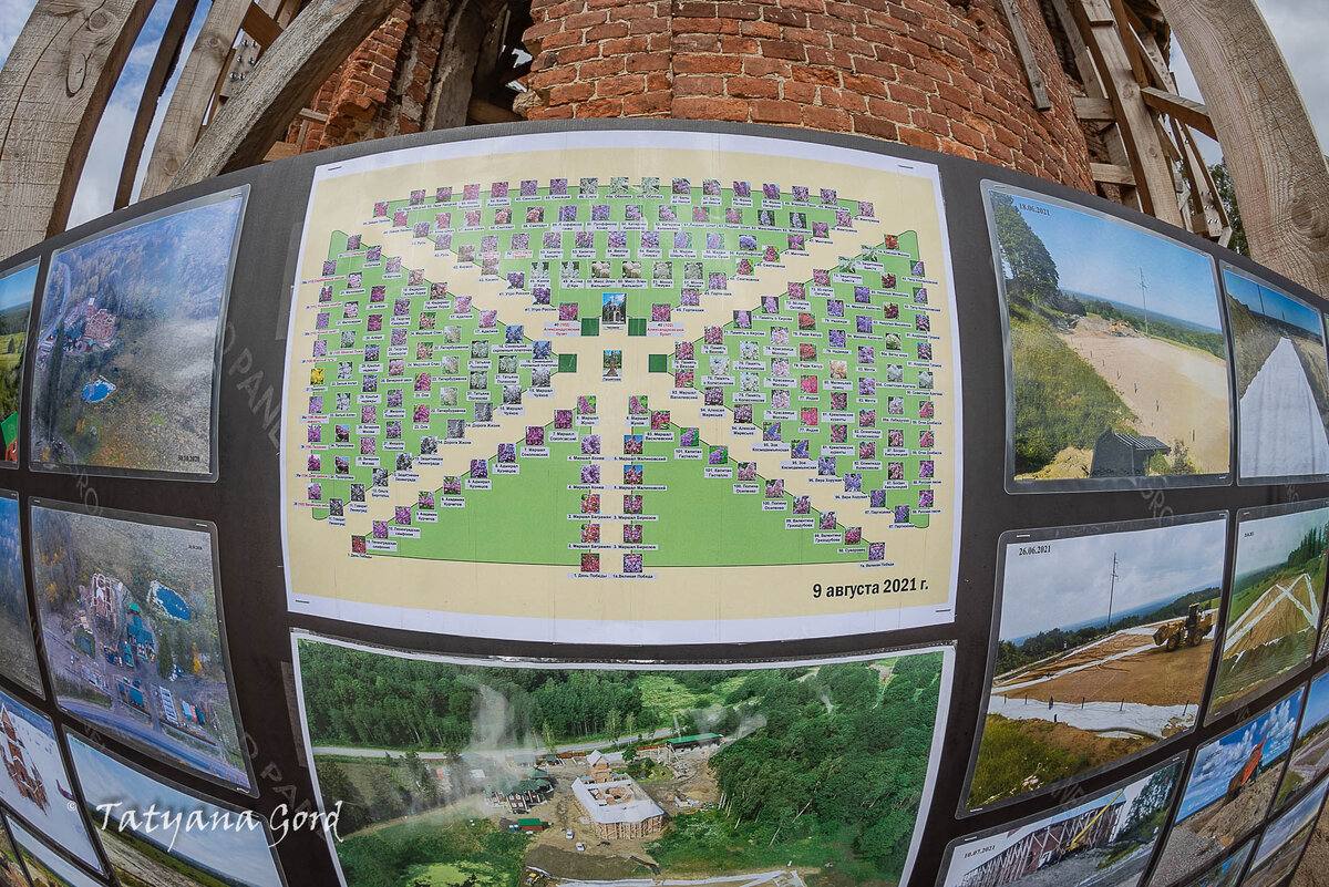 Схема посадок сирени.