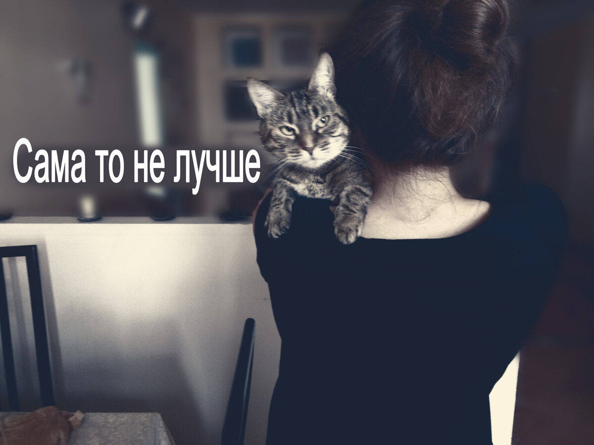 Да-да, это автор и ее кошка Лапушка:)