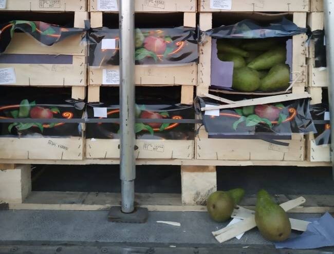 Фото: Смоленская таможня