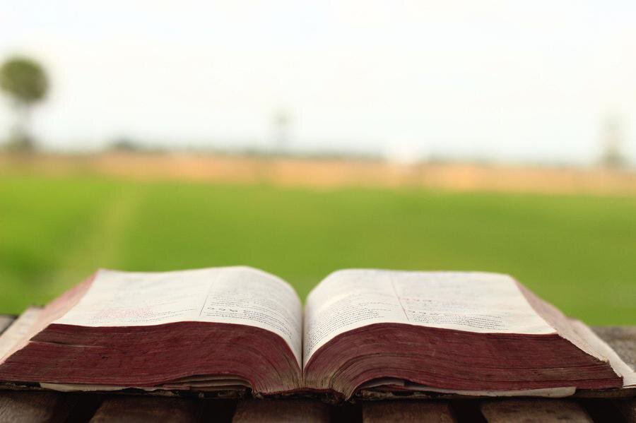 Фото: pixabay.com