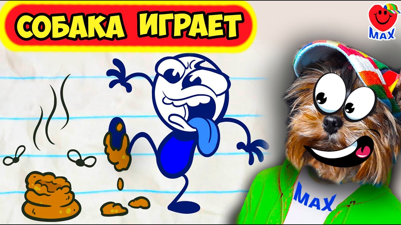 СМОТРИ ЛУЧШИЕ СМЕШНЫЕ ВИДЕО! СОБАКА ИГРАЕТ🐶(ЧЕЛЛЕНДЖ НЕ ЗАСМЕЙСЯ)  Валеришка Макс