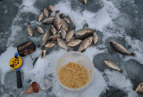 Прикормка для рыбалки своими руками