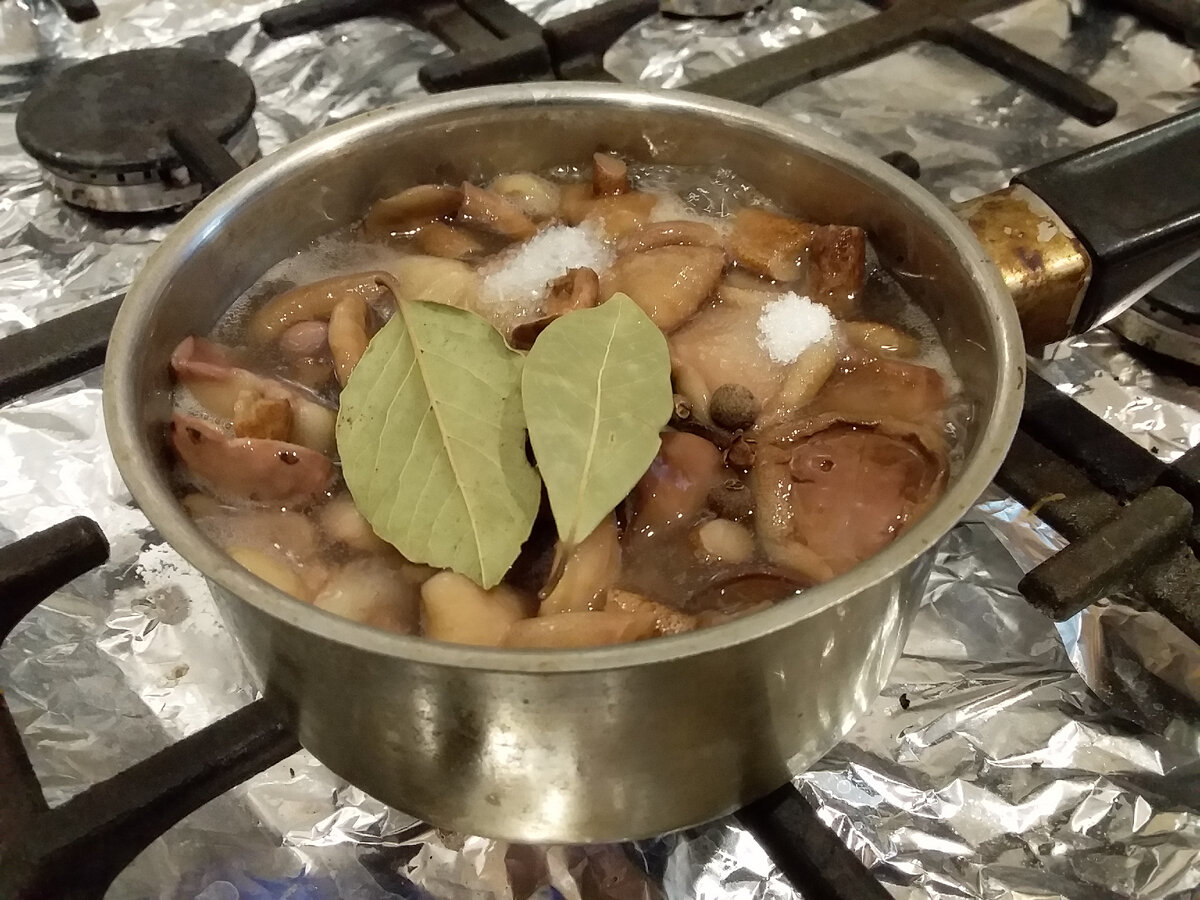 Как вкусно приготовить грибы: 18 рецептов заготовок на зиму