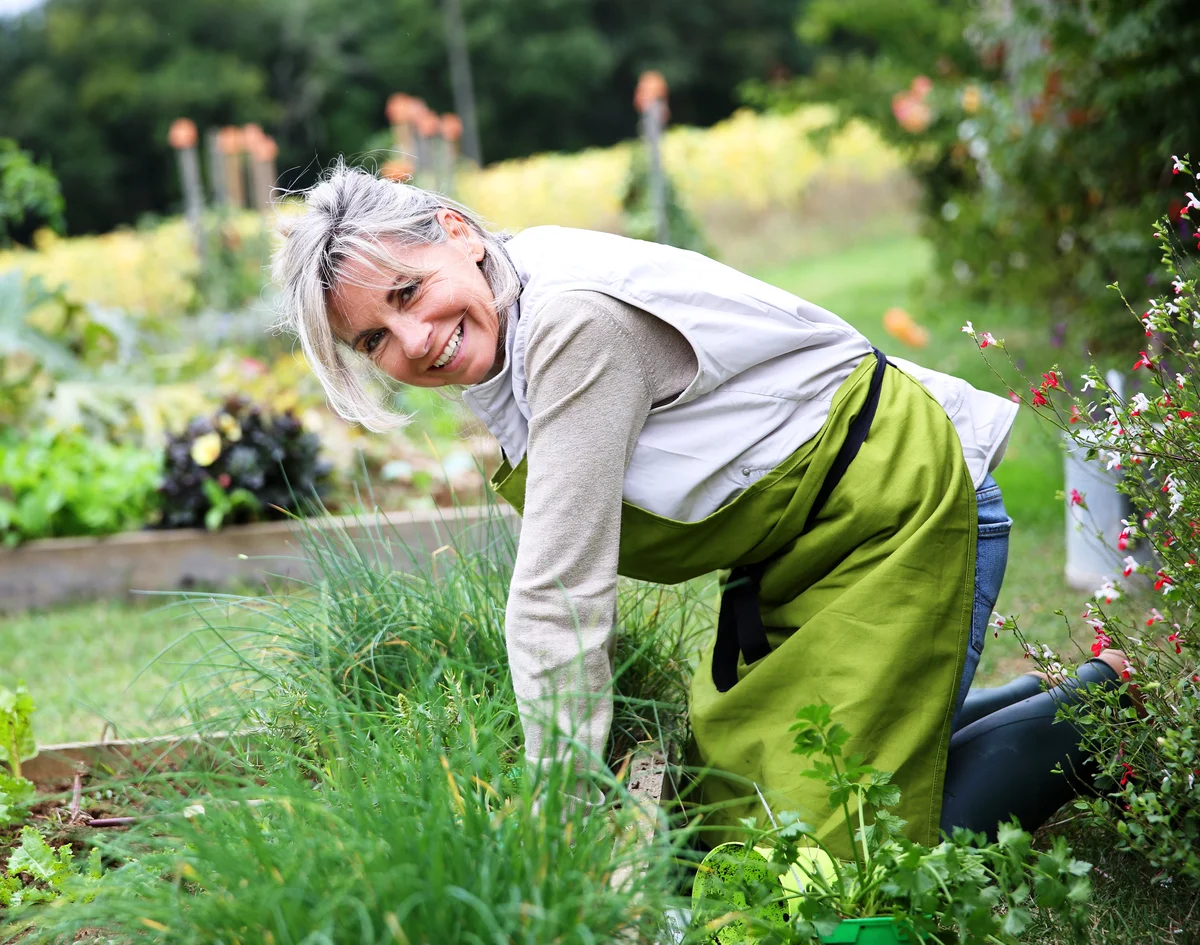 Дачная возня - славный способ выбыть из любой сомнительной гонки. Римский император Диоклетиан даже отказался от царства: "Ах, если бы вы видели, какая у меня выросла капуста, не спрашивали бы!.."  Грядки и против возраста эффективны:) 