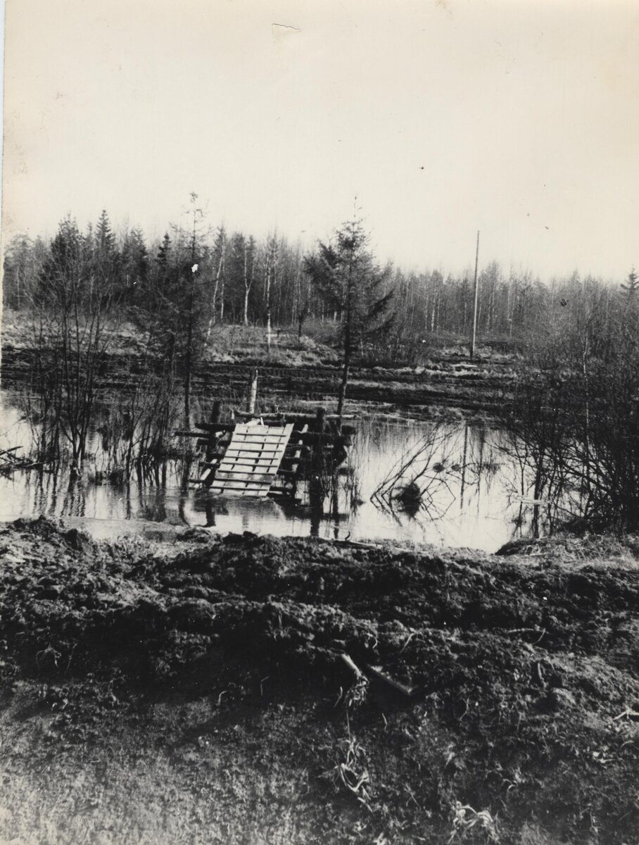 Пешеходная дорога вдоль шоссе Энтузиастов. 1961 г. (фото из архива Киришского историко-краеведческого музея)