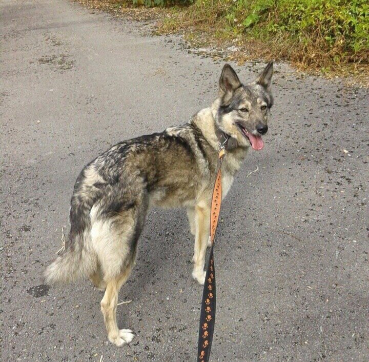 Не отставай! За мной 🥰