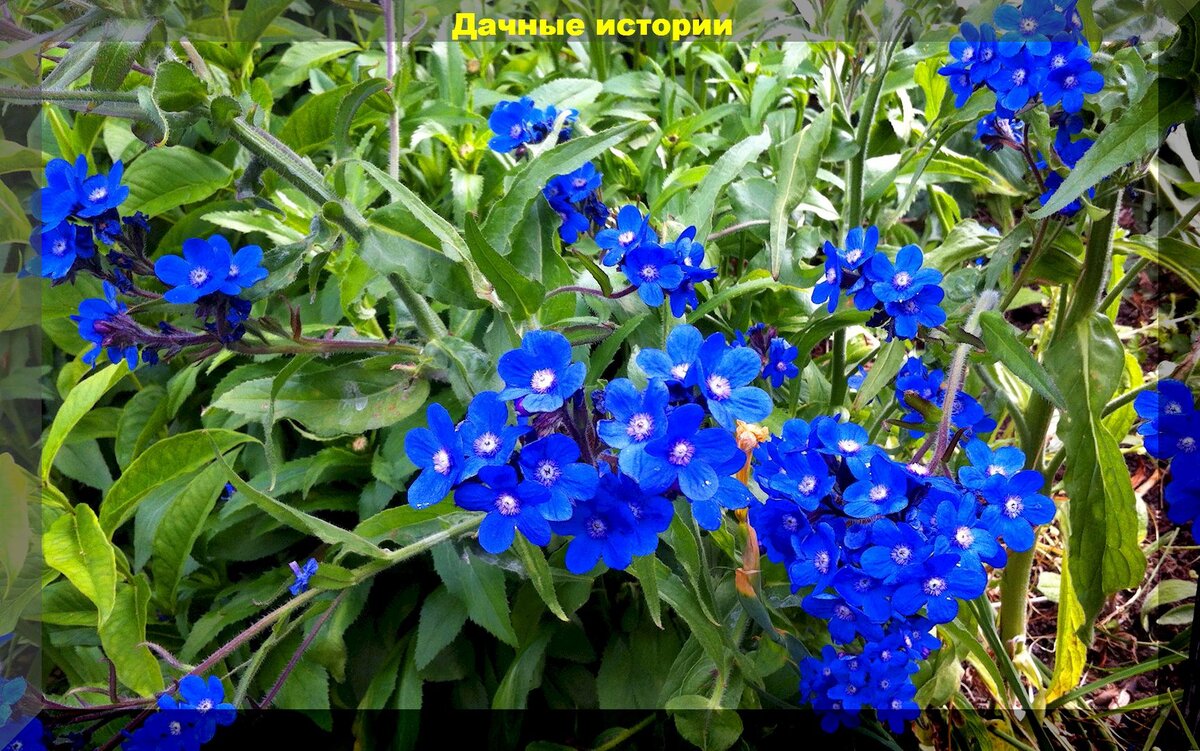 https://vk.com/photo-159774511_457253847