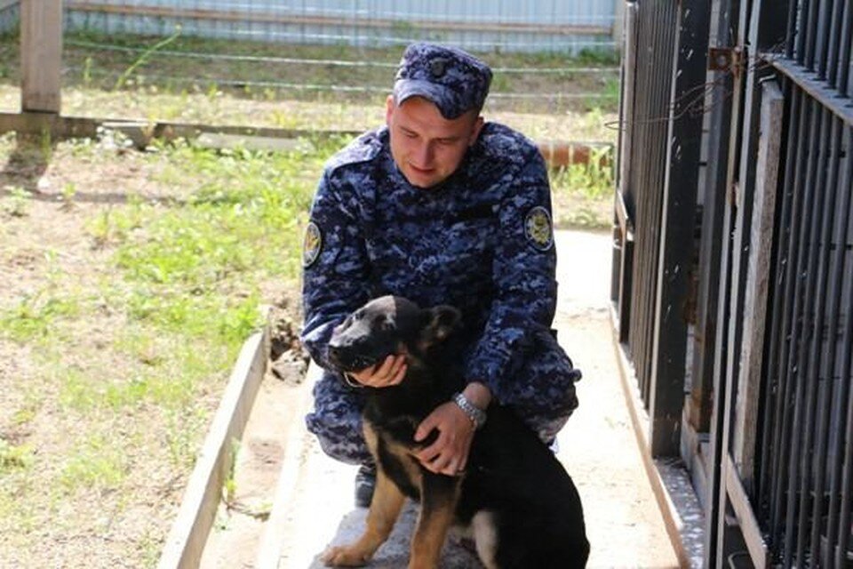     Малыши пока только учатся быть настоящими служебными собаками. Фото: УФСИН по ЕАО