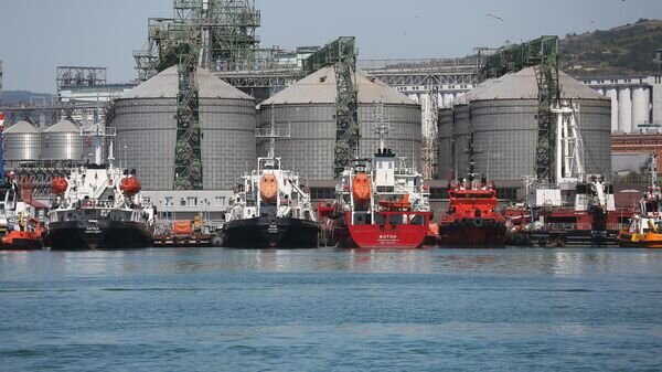   © РИА Новости . Виталий Тимкив