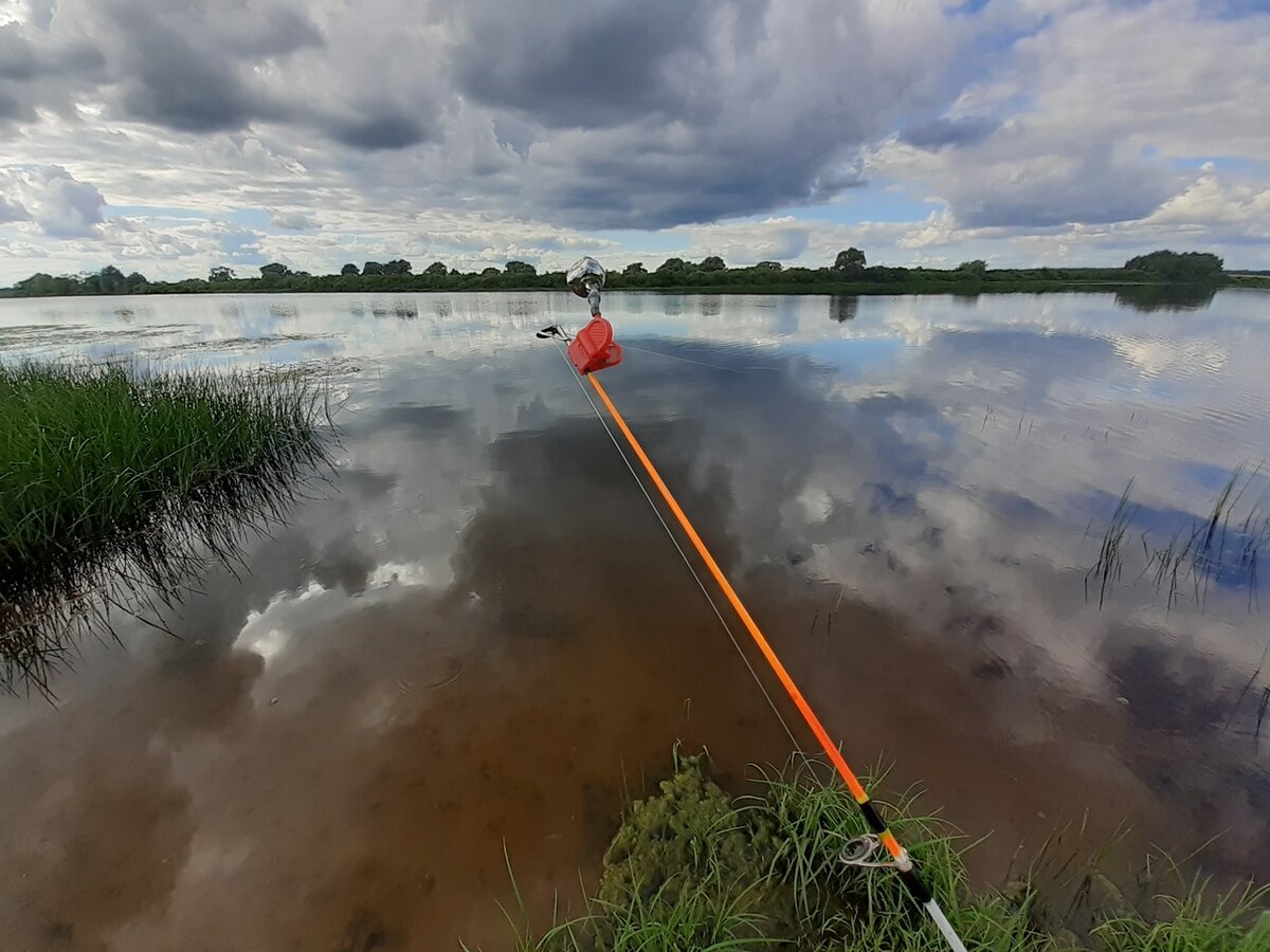 Данное фото сделано на реке Шелонь. Новгородская область.