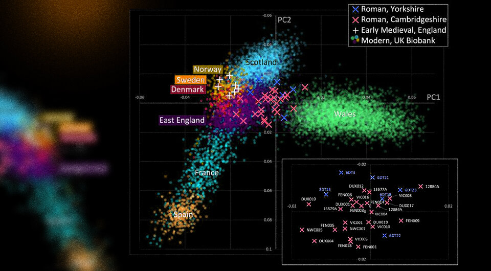   N + 1; Christiana Sheib et al. / bioRxiv, 2023