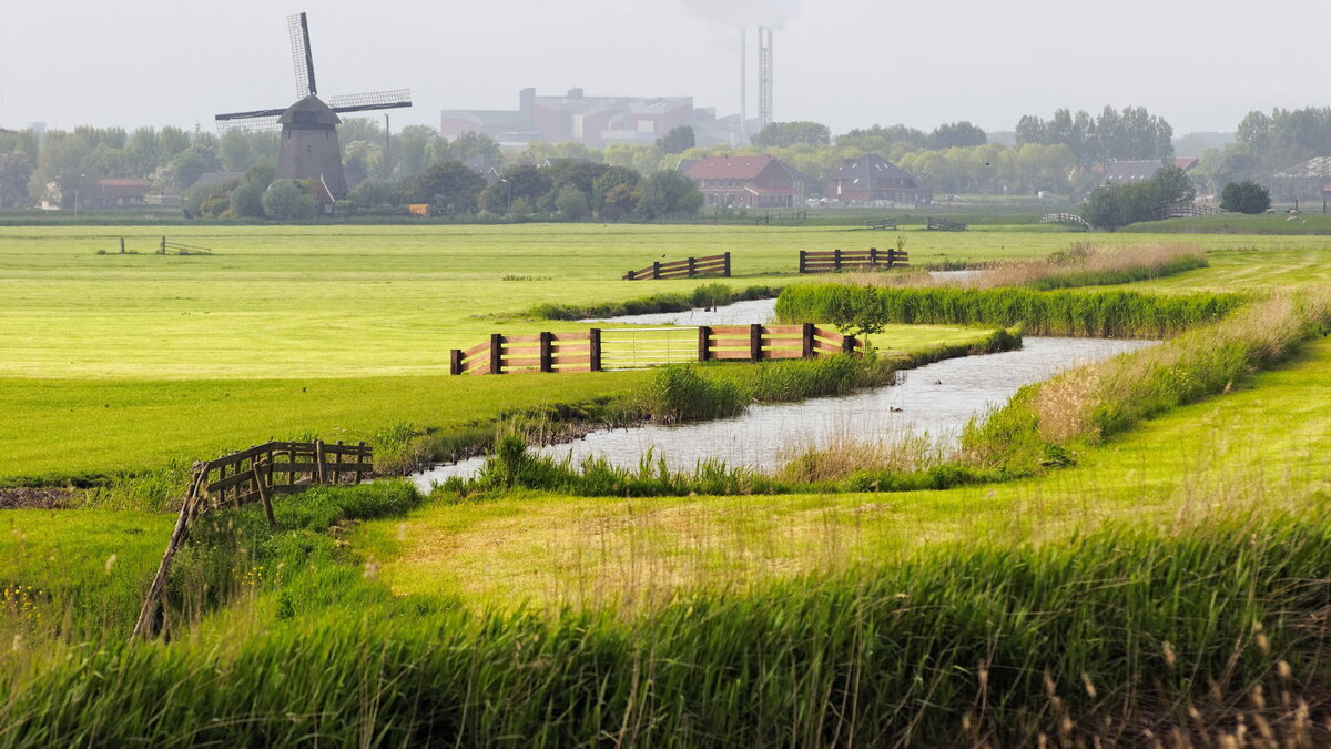 Голландия. Источник https://rare-gallery.com/uploads/posts/818787-Schermer-Netherlands-Houses-Evening-Canal-Trees.jpg