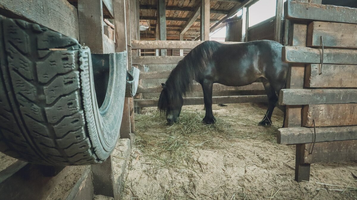     Трагедия произошла в Воскресенском городском округе.