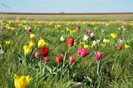 Фото взято из свободного источника