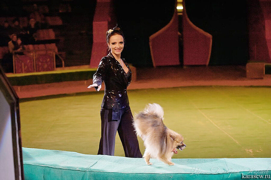 Фото просто иллюстрация. Взято из интернет