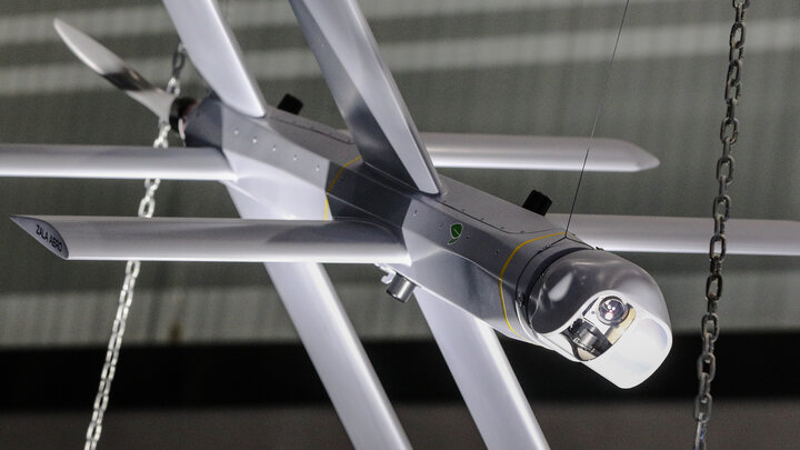 ФОТО: BULKIN SERGEY/NEWS.RU/GLOBALLOOKPRESS