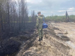   Фото: Росприроднадзор