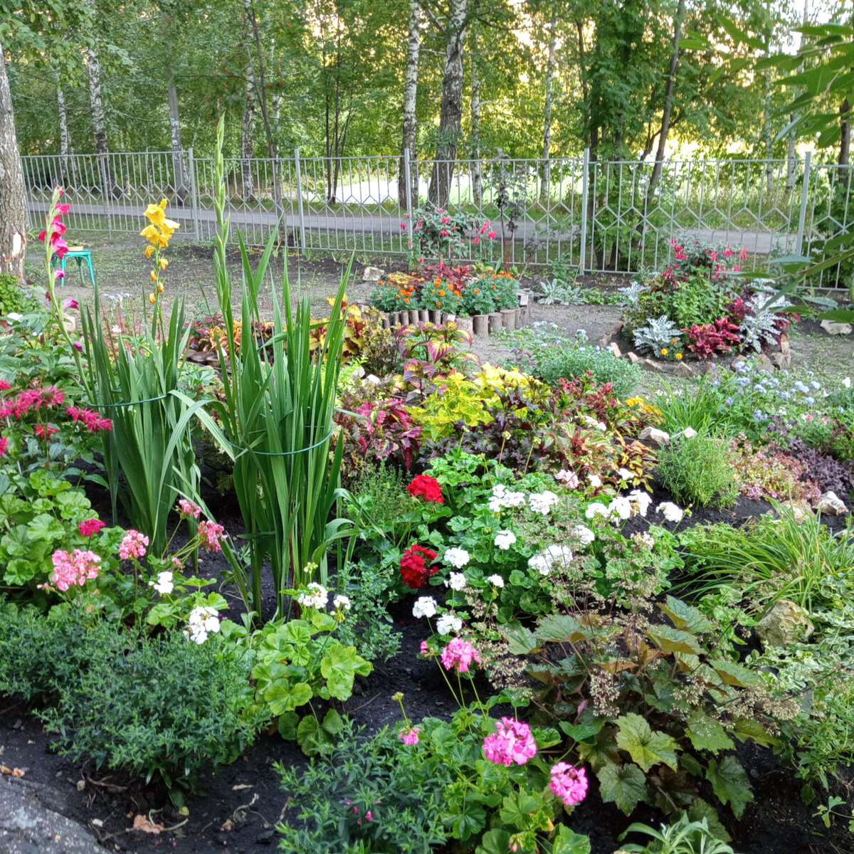 2. В галерее 15 фото, листайте