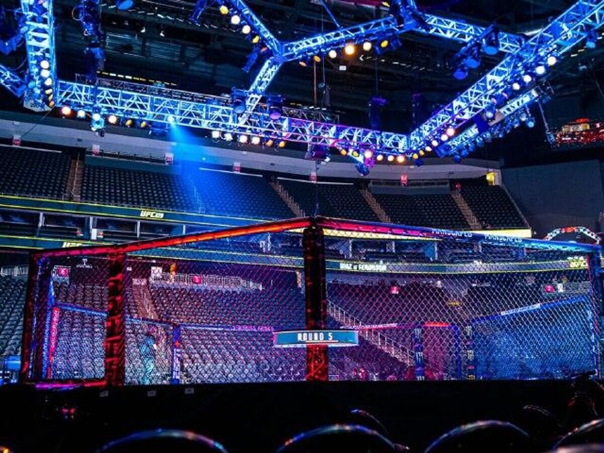    Октагон UFC© UFC Russia
