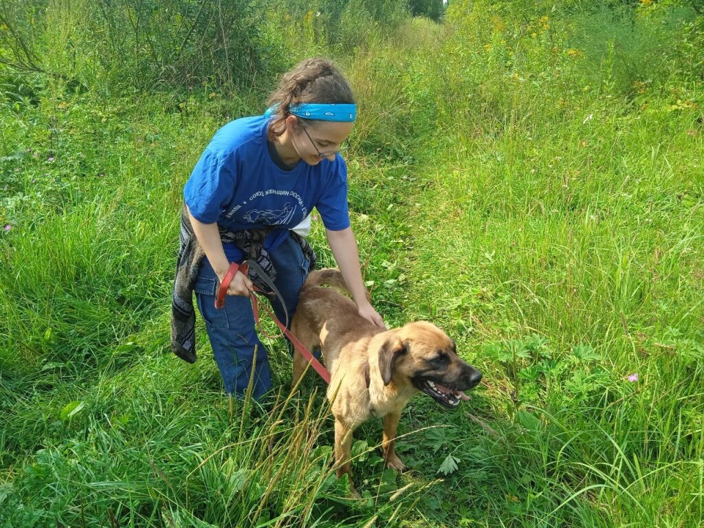 В Твери молодые волонтёры поухаживали за собаками из приюта в Больших Перемерках