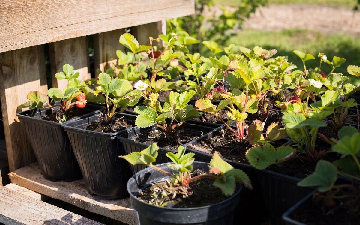 Фото: pinterest.com