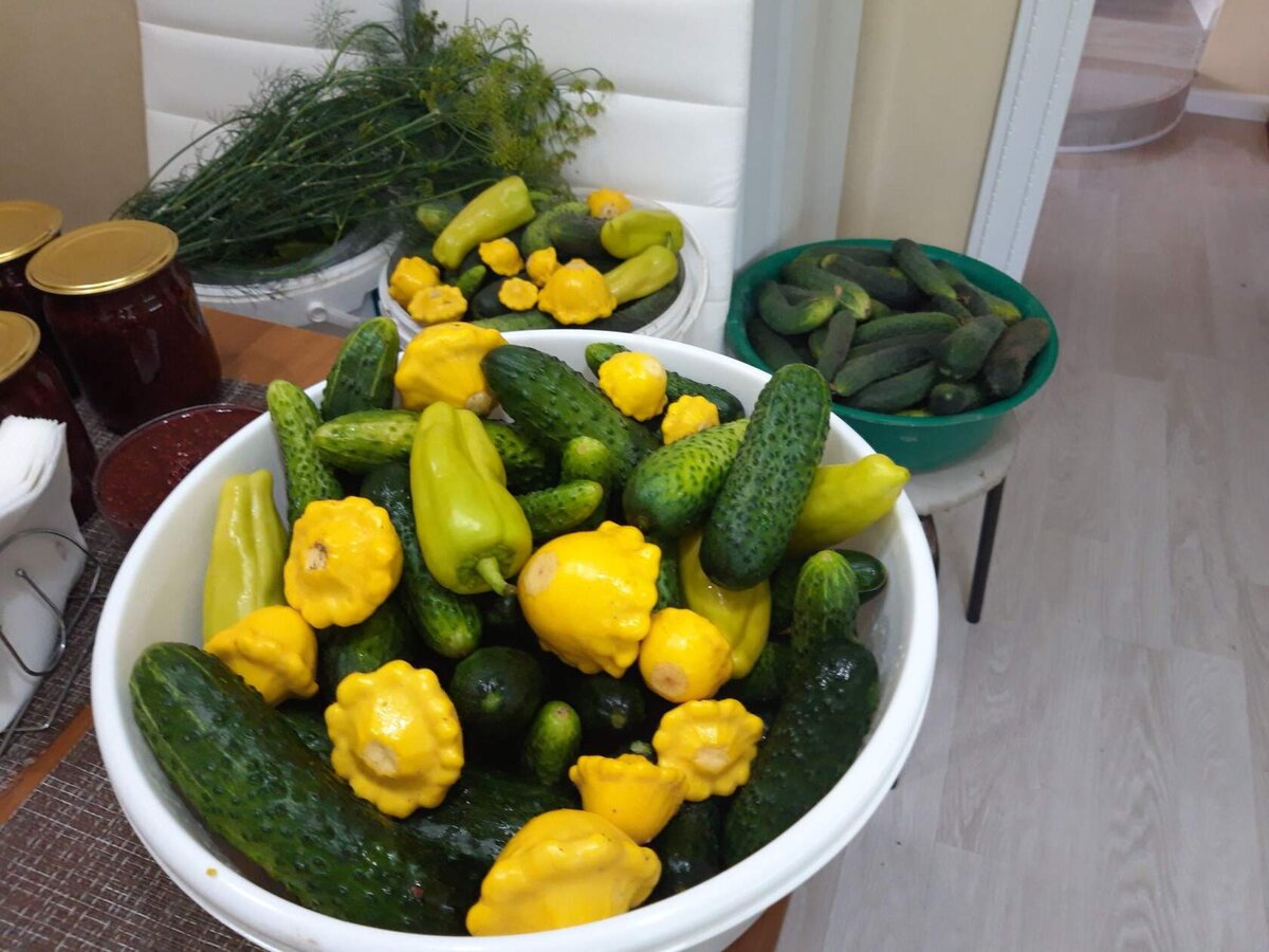 В своем огороде я выращиваю овощи, которые использую для приготовления свежей и полезной пищи для себя и своей семьи