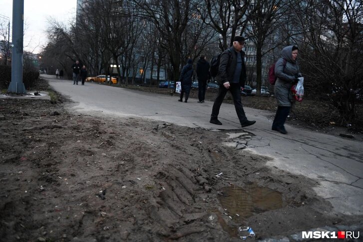 На фото - весна 2023 в наукограде Королев. Сразу видно - во всем виноваты пешеходы и голуби.