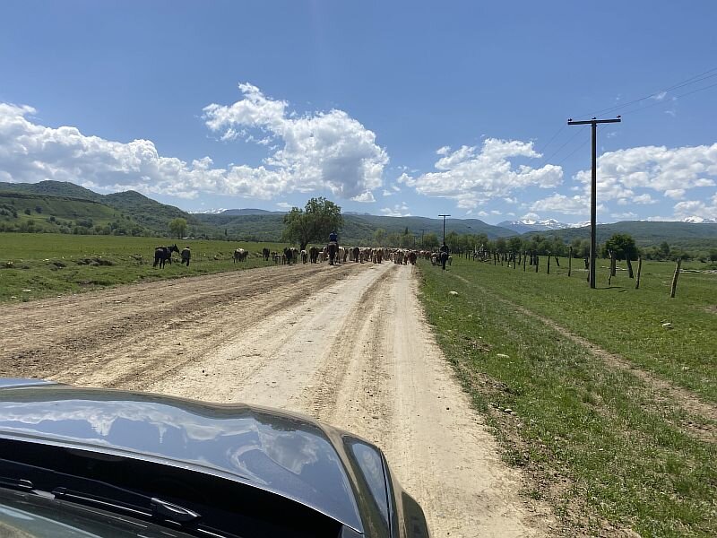 Дорога от Сторожевой в Лесо Кяфарь