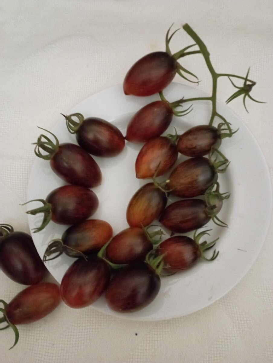 "Атомный виноград Брэда"