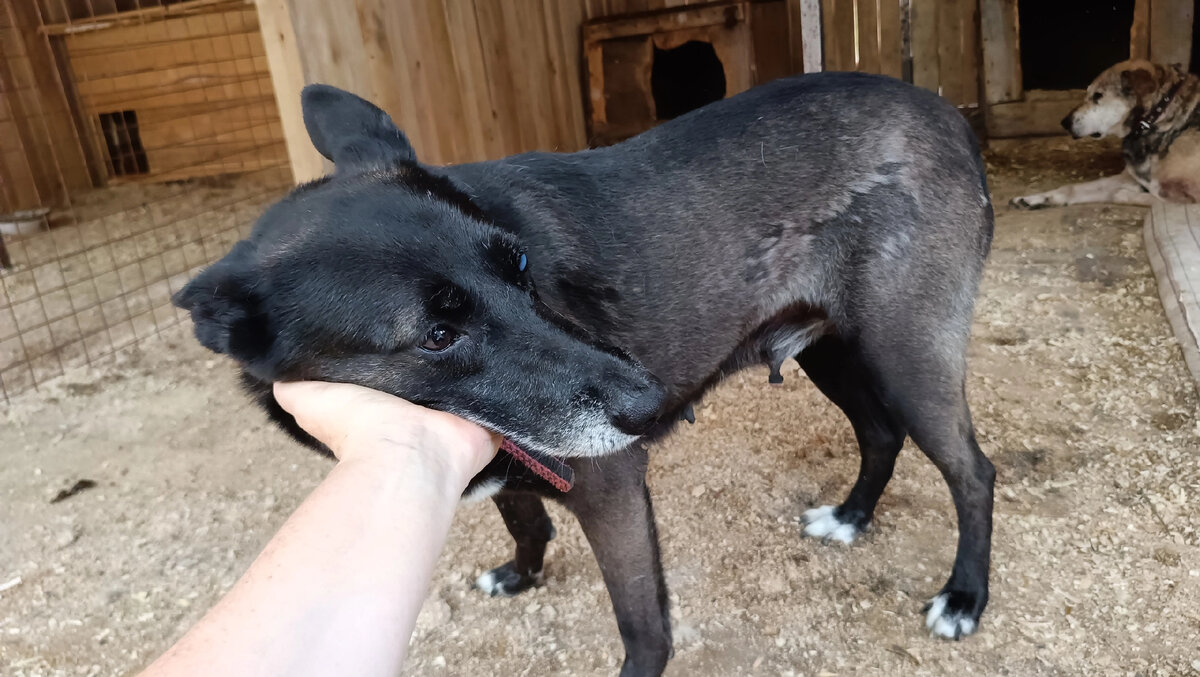 Матильда стала ласкушей .