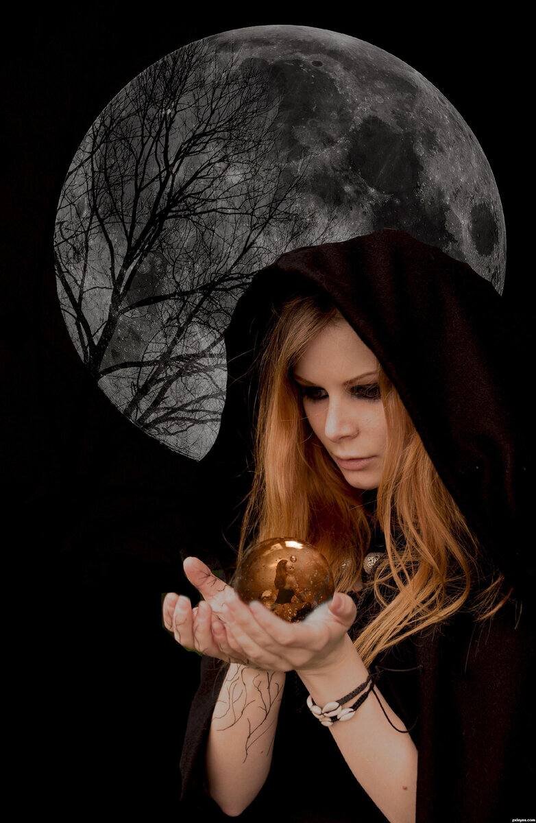 фото из интернета