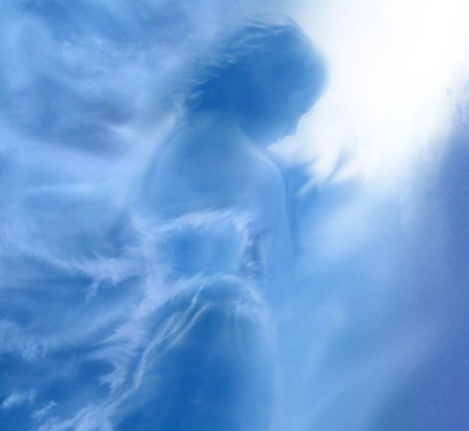 Из открытого доступа