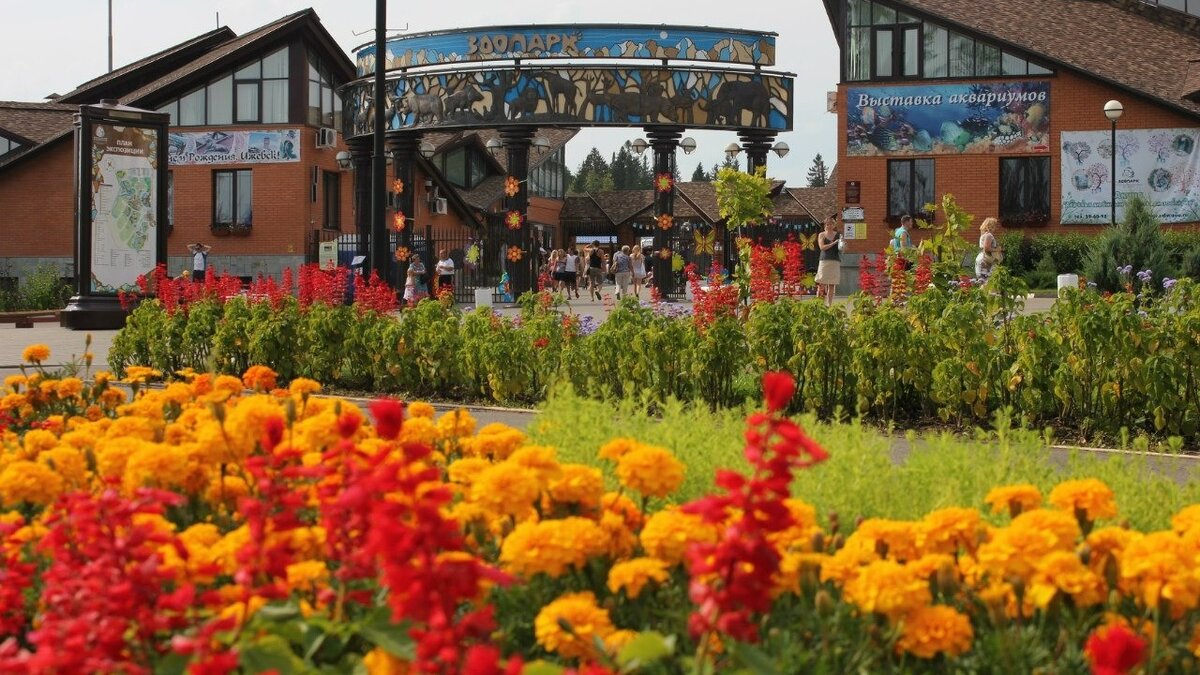 Шотландская горная корова и яки поселятся в зоопарке Ижевска