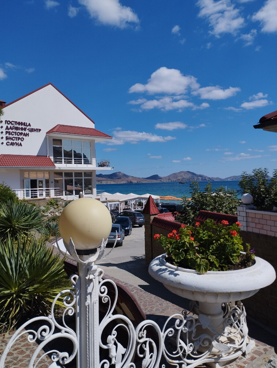 Сегодня у "Белого Грифона". Фото автора канала