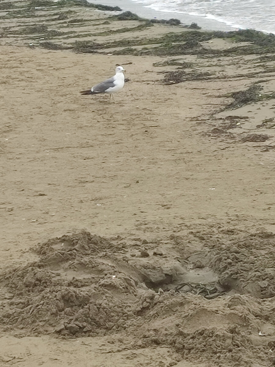 Фото автора.