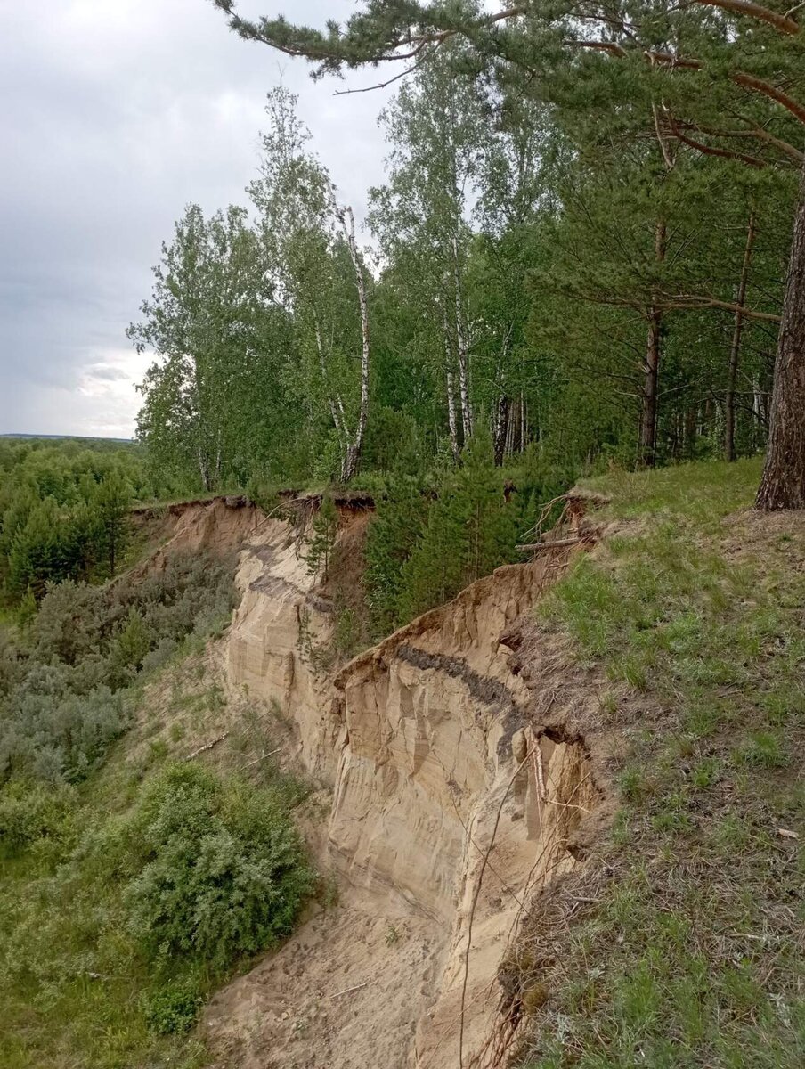 Оазис спокойствия