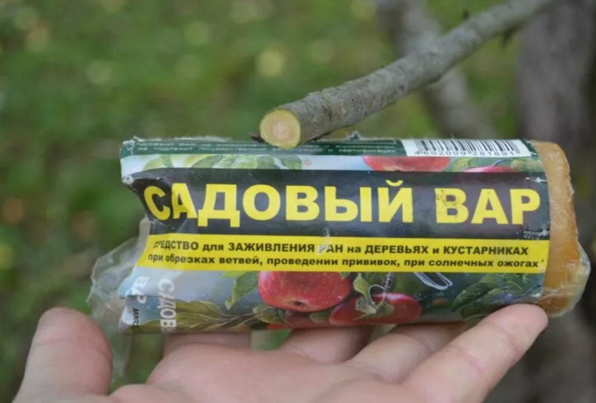 Как пользоваться варом. Садовый вар для деревьев. Садовый вар для яблони. Обработка деревьев садовым варом. Для прививание дерева садовый вар.