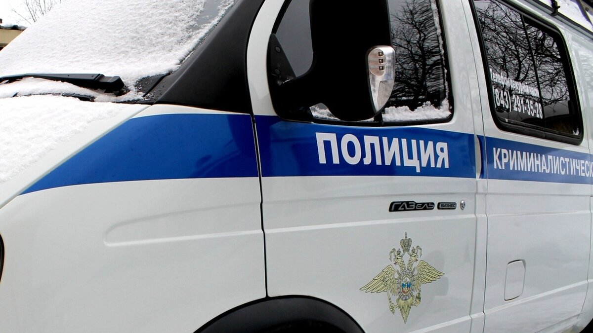     Туристка из Омска повредила ногу, когда со своими подругами спускалась по сопке Сестра в Приморье. Местный полицейский помог ей и довел до кареты скорой помощи.