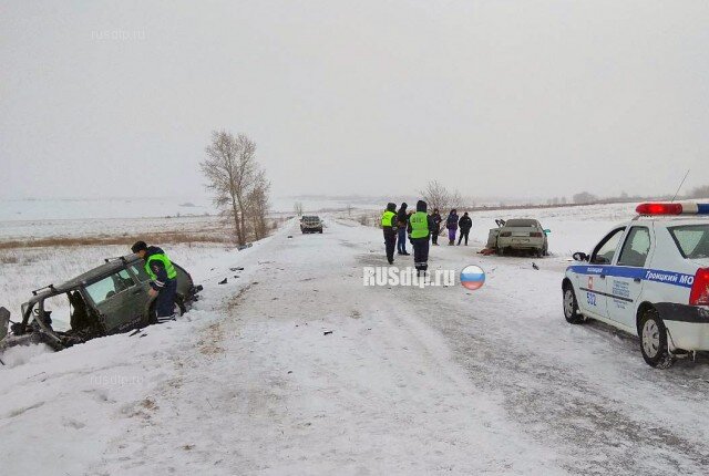  
 19 февраля в 16:15 часов на 4 километре автодороги Троицк – Степное — Плодосовхоз 18-летний молодой человек за рулем ВАЗ-2112 в условиях снегопада выехал на полосу встречного движения и столкнулся с автомобилем ВАЗ-2131 под управлением 69-летнего пенсионера. Водитель «двенадцатой» скончался на месте. Водитель «Нивы» умер в реанимации, а его 4-летний внук скончался по дороге в больницу. 63-летняя супруга водителя «Нивы» была госпитализирована. Все участники ДТП — жители Троицкого района. Пожилые мужчина и женщина следовали из посёлка Плодовый в город Троицк, везли внука родителям. Предполагаемый виновник аварии получил права в октябре 2018 года, — сообщили rusdtp.ru в пресс-службе ГИБДД по Челябинской области.