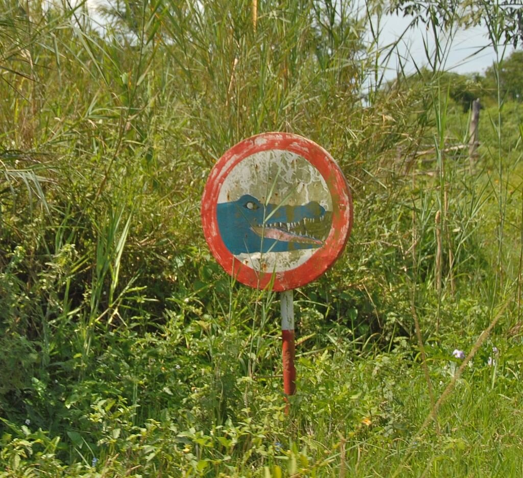 Кстати,красиво нарисован.А,точно.