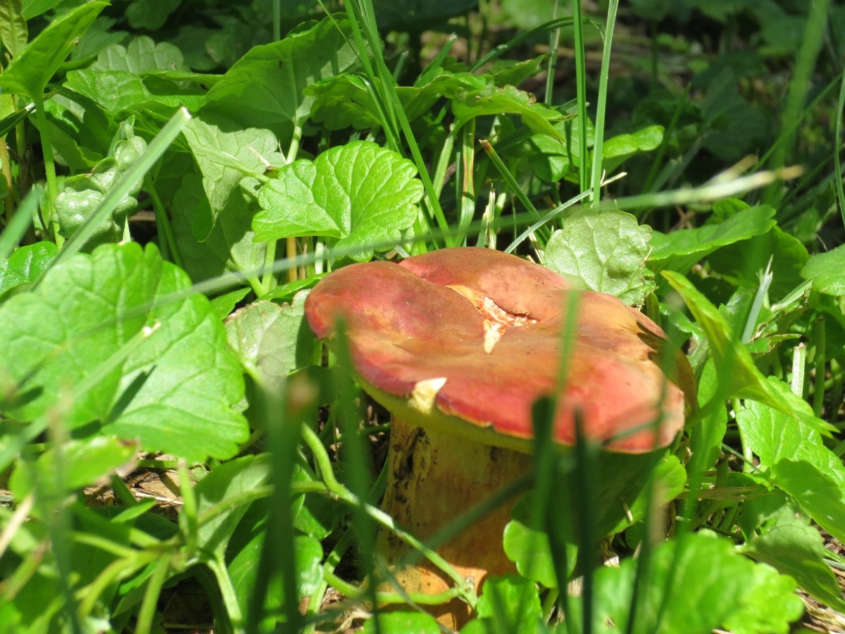 © Фото: ИД «Волгоградская правда» / Алеся Котова.