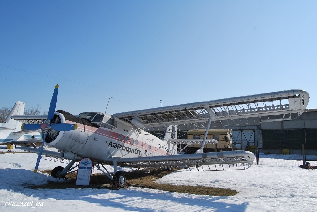 Вот он, тот самый Ан-2. Обшивки уже нет от слова совсем. А в 2014 она еще лохмотьями висела на крыльях и заднем хвостовом оперении