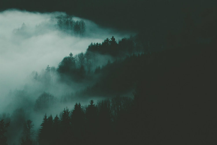 Фото: Daniel Kainz / unsplash.com