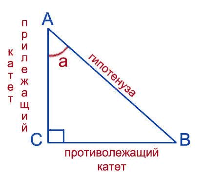 Противолежащий катет прямоугольного треугольника. Sin cos TG В прямоугольном треугольнике. Sin cos TG CTG В треугольнике. Sin cos TG CTG В прямоугольном треугольнике. Синус и катет в прямоугольном треугольнике