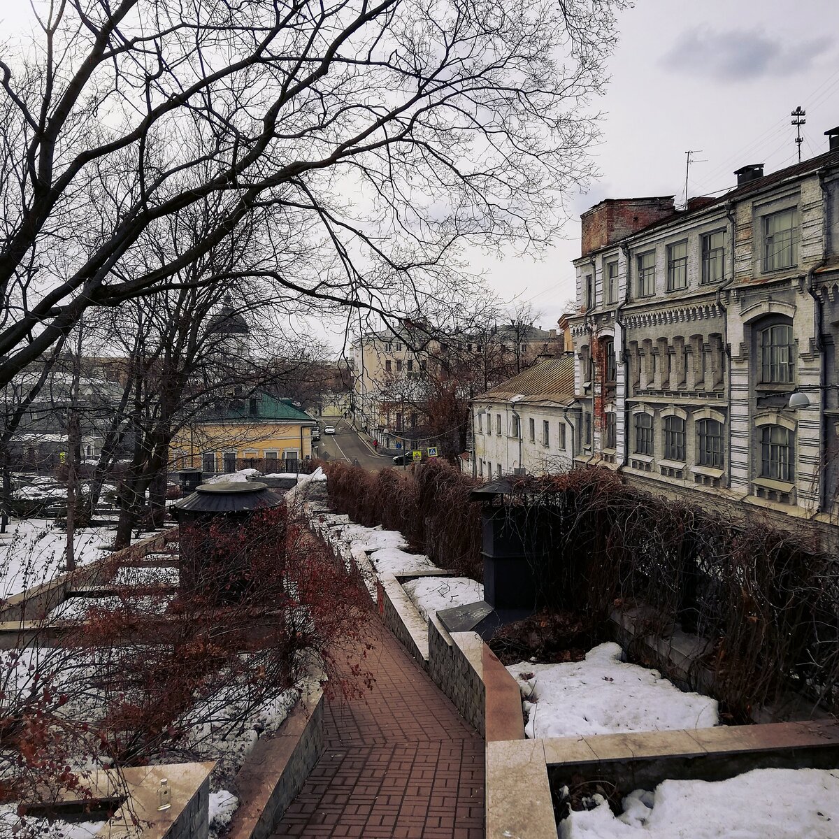 Сад - все, что осталось от старых княжеских садов Василия III. Тут было много всего: 