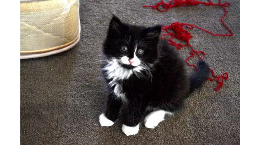 Источник: Beka Smyth