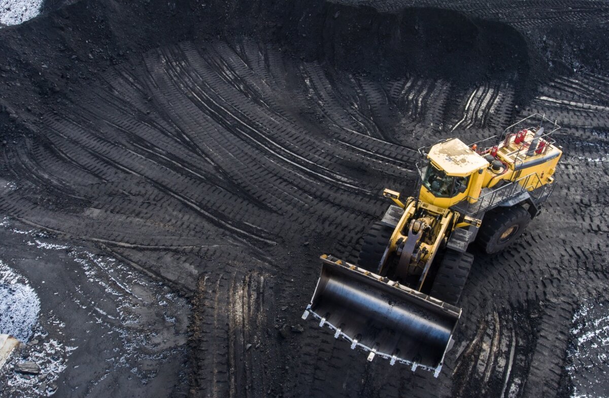 Фото: Кирилл Кухмарь/ТАСС