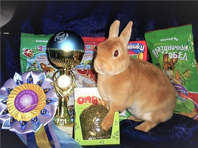 Источник: Яндекс.Картинки