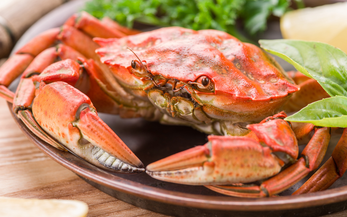 Источник фото: 1zoom.ru